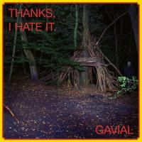 Thanks, I Hate it - (LP + CD - VÖ: 23.01.2026) 