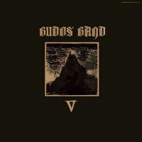 V - (LP - Import USA)