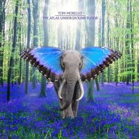 The Atlas Underground Flood - (Doppel LP - Colored Vinyl) 