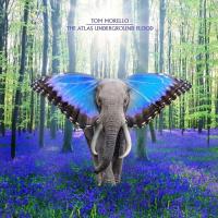 The Atlas Underground Flood - (CD) 